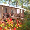ocean mobilhome village vacances la palmyre
